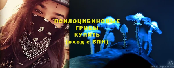 а пвп мука Алзамай