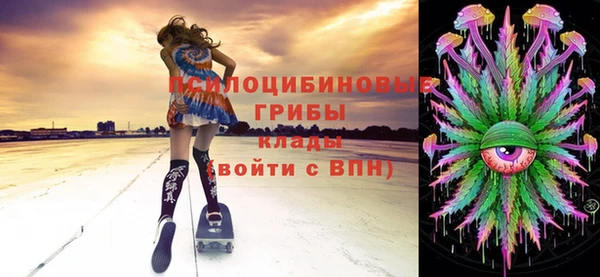 индика Алексеевка