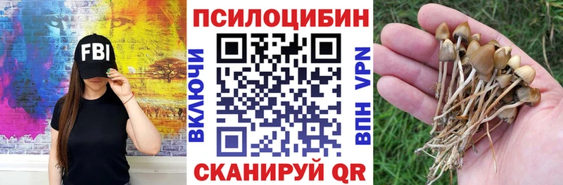 Галлюциногенные грибы Psilocybe  Крымск 
