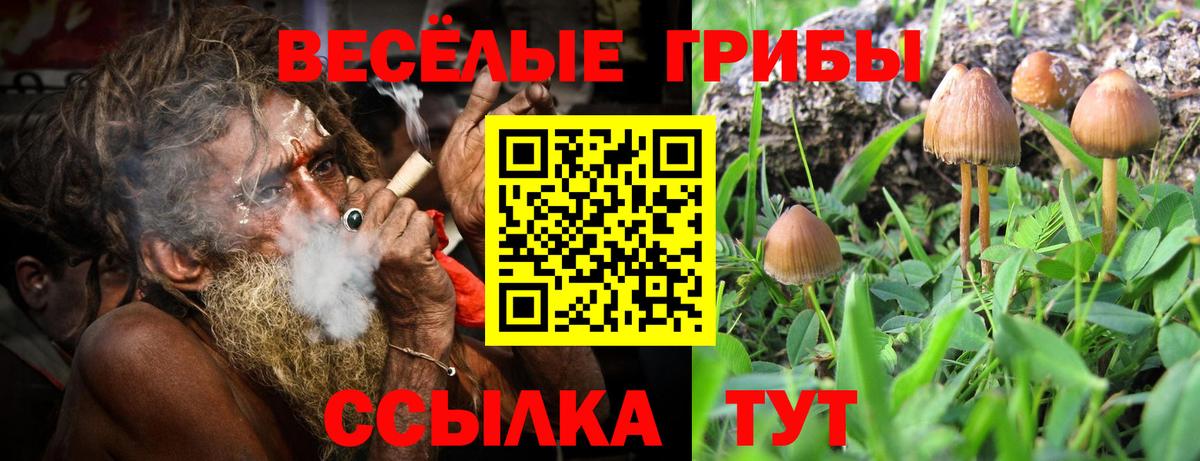 Галлюциногенные грибы мухоморы  Вход с VPN  Крымск 